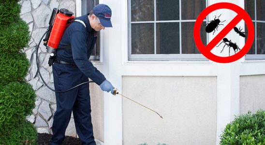 Akçaabat Karınca İlaçlama böcek ilaçlama ve haşere kontrolü — ilaclama-tr.com